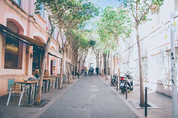 best walking tours barcelona